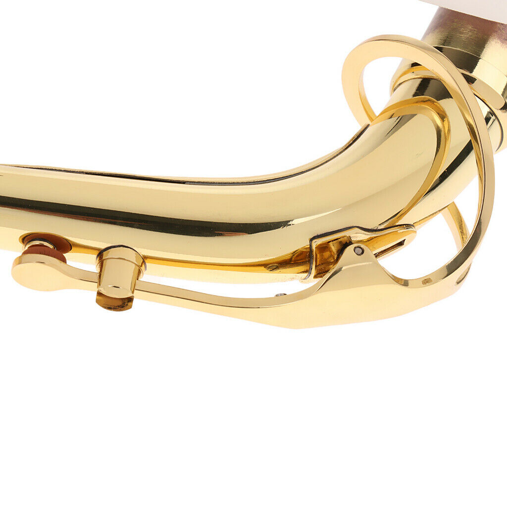 Alto saxophone neck from Messig for Eb alto saxophone, head joint: 24.5 mm