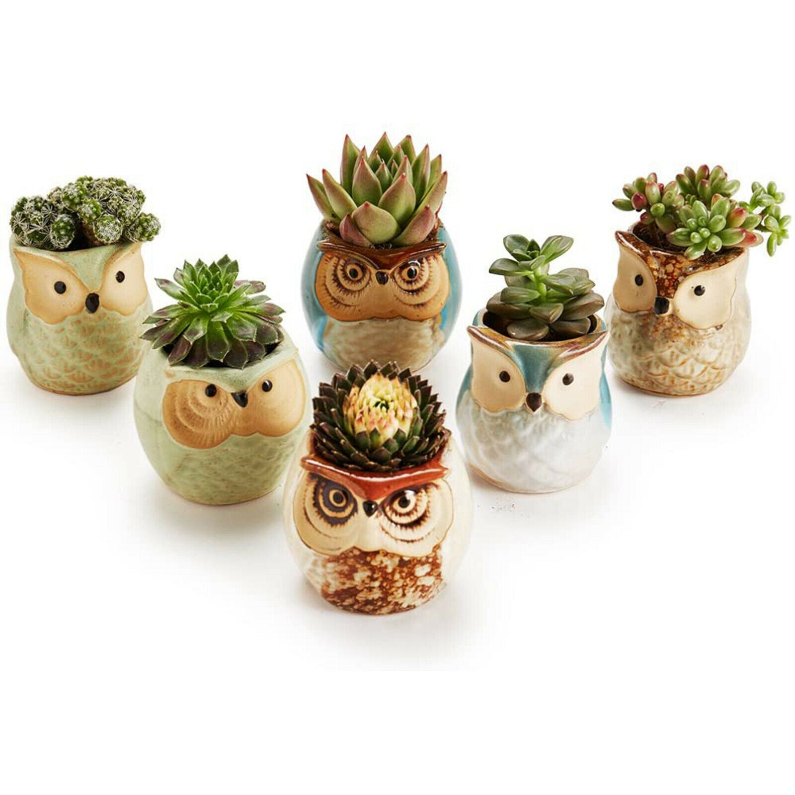 Mini Owl Succulent Plants Pots Flower Potted Plant Desktop Home Office Decor