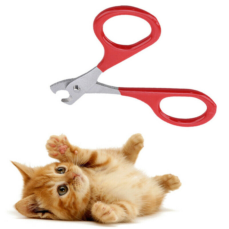 Cat Nails Scissors Pet Cat Claw Care Tools Pet Supplies Accessories Pet To JYDF