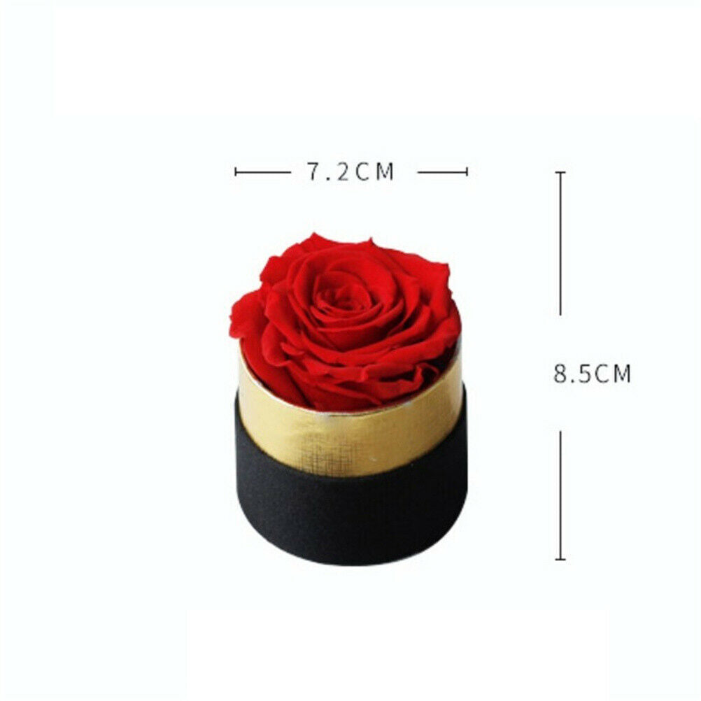 Eternal Rose Box Preserved Real Rose Flowers With Box Set Best  Gift ValentiBDA