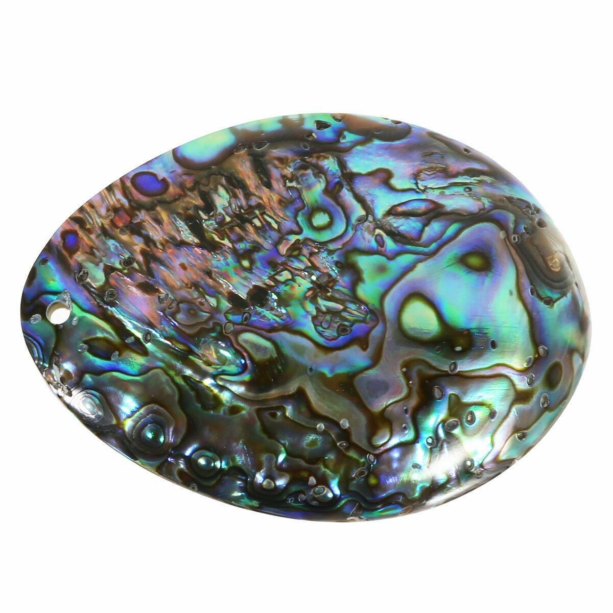 Seashell Abalone Shell Pendant Smudging Beach House Decor Natural Rainbow Gifts