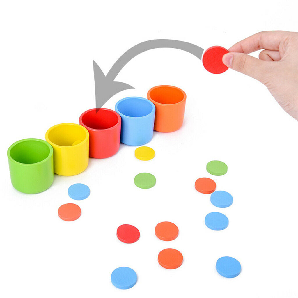 50pcs Counting Coins Matching Sorting Cups Rainbow Sensory Toys   Kit