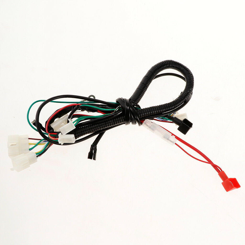 Complete Electrics Wiring Harness CDI for 150CC Pit Bike Scooter ATV Quad