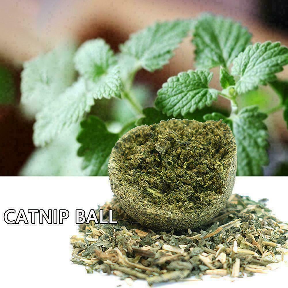 Cat Snack Catnip Ball Lick Nutrition Ball Molar Cleaning AU Cat Snacks