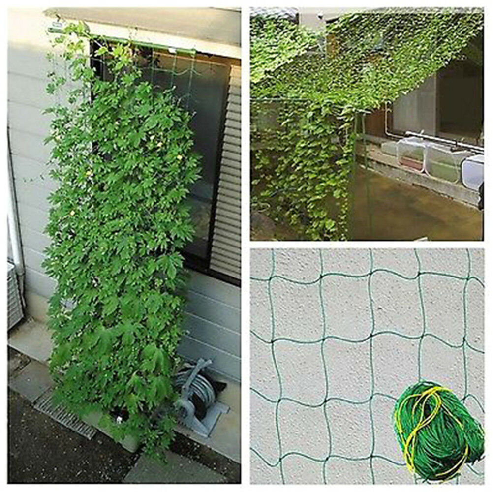 1.8x1.8m Garden Green Nylon Trellis Netting Support Climbing Plant Nets Fence TL