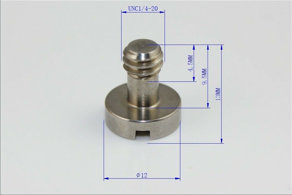 10pcs 1/4' ' BSPT Tripod Camera Screw Stainless Steel Camera Flat-head Screw