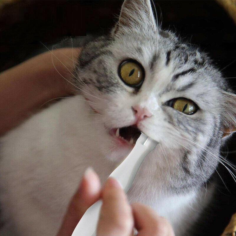 Pet Cat's 2Heads Toothbrush Pet Dog Toothpaste Teeth Cleaning Teeth Oral Care