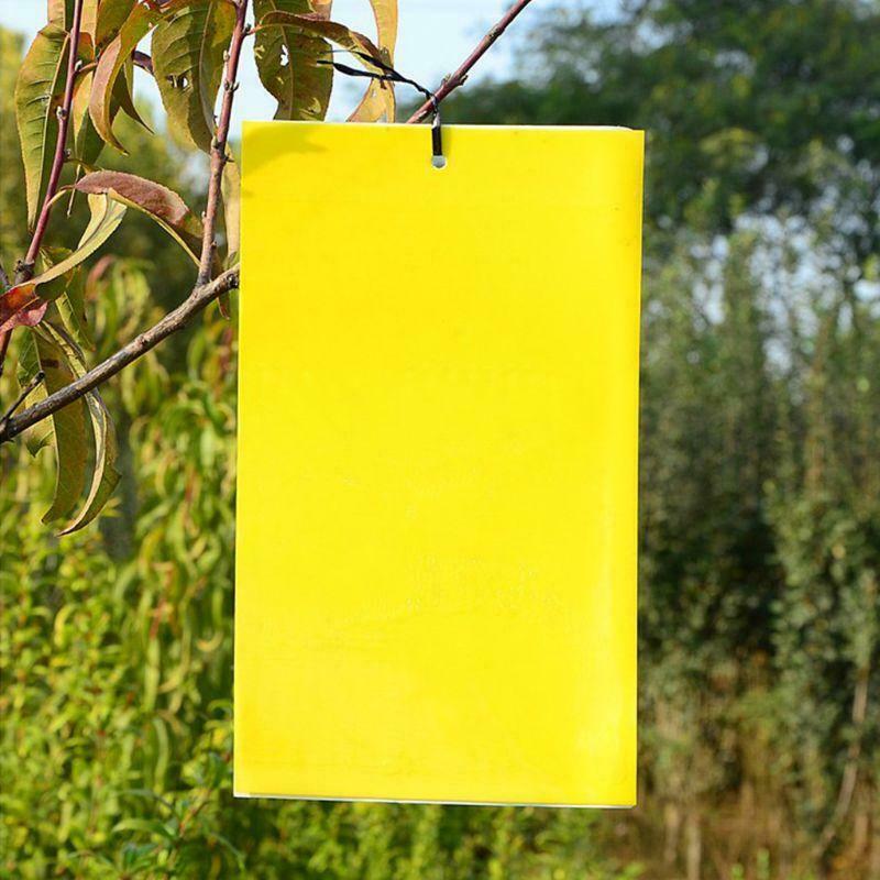 30 Pack Dual-Sided Yellow Sticky Traps for Flying Plant Insect (10x4 Inch, 30pcs