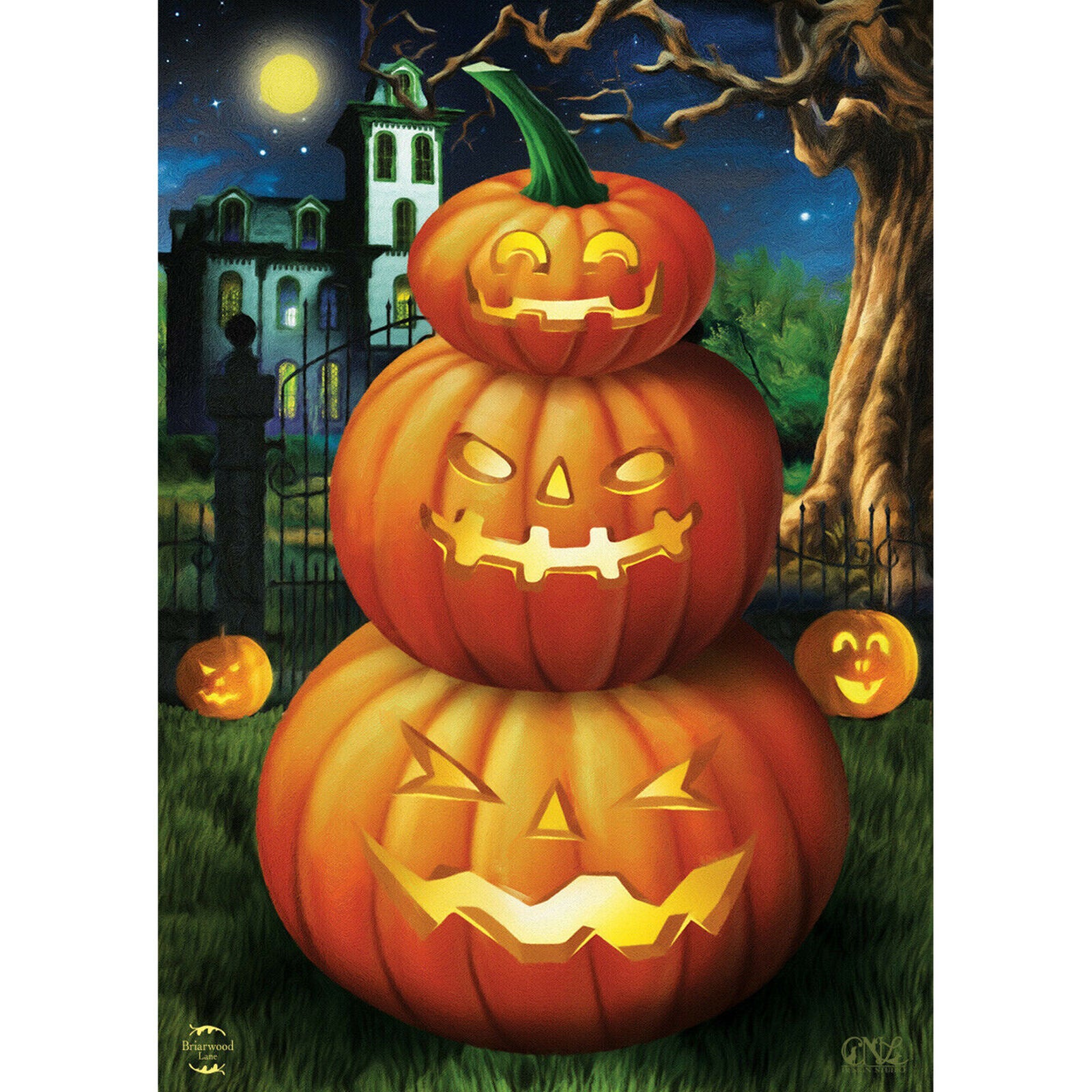 Spooky Jack O'Lanterns Halloween House Flag Carved Pumpkins 28" x 40"