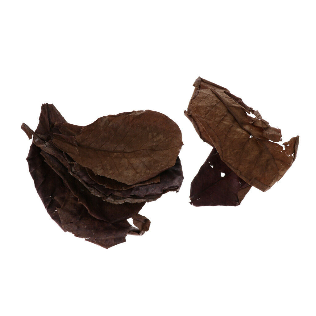 10pcs Betta Leaves Beneficial Clean Tool For Fish Tank Aquarium Cleaning