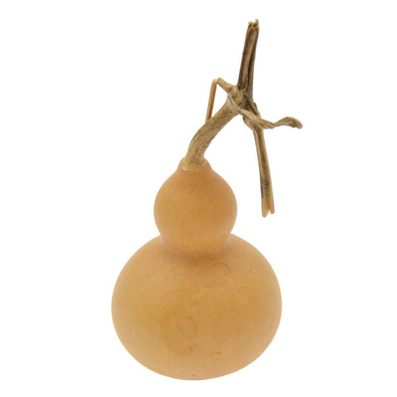 10x Miniture Hand   Gourds Natural Plante Crafts Home Gardin Decoration
