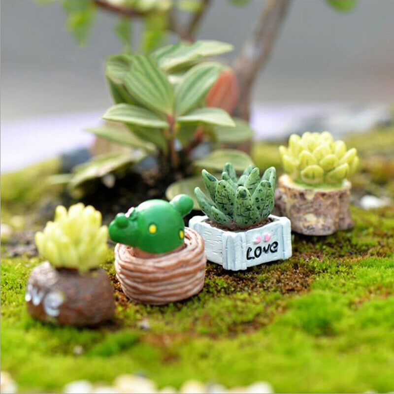 Lifelike Mini Artificial Fleshy Cactus Plant Landscape Decorative Potted .l8