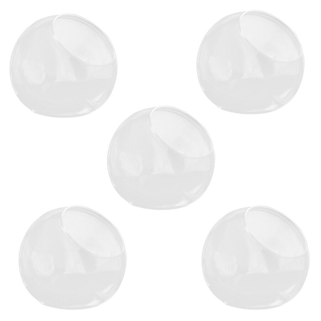 5Pcs Transparent Ball Glass Hydroponic Pot Flower Vase Terrarium Home Decor