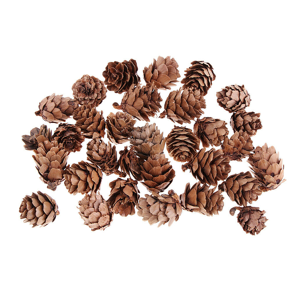 120 Bulk Natural Ponderosa Pine Cones Christmas Decorations Pine Cone Crafts