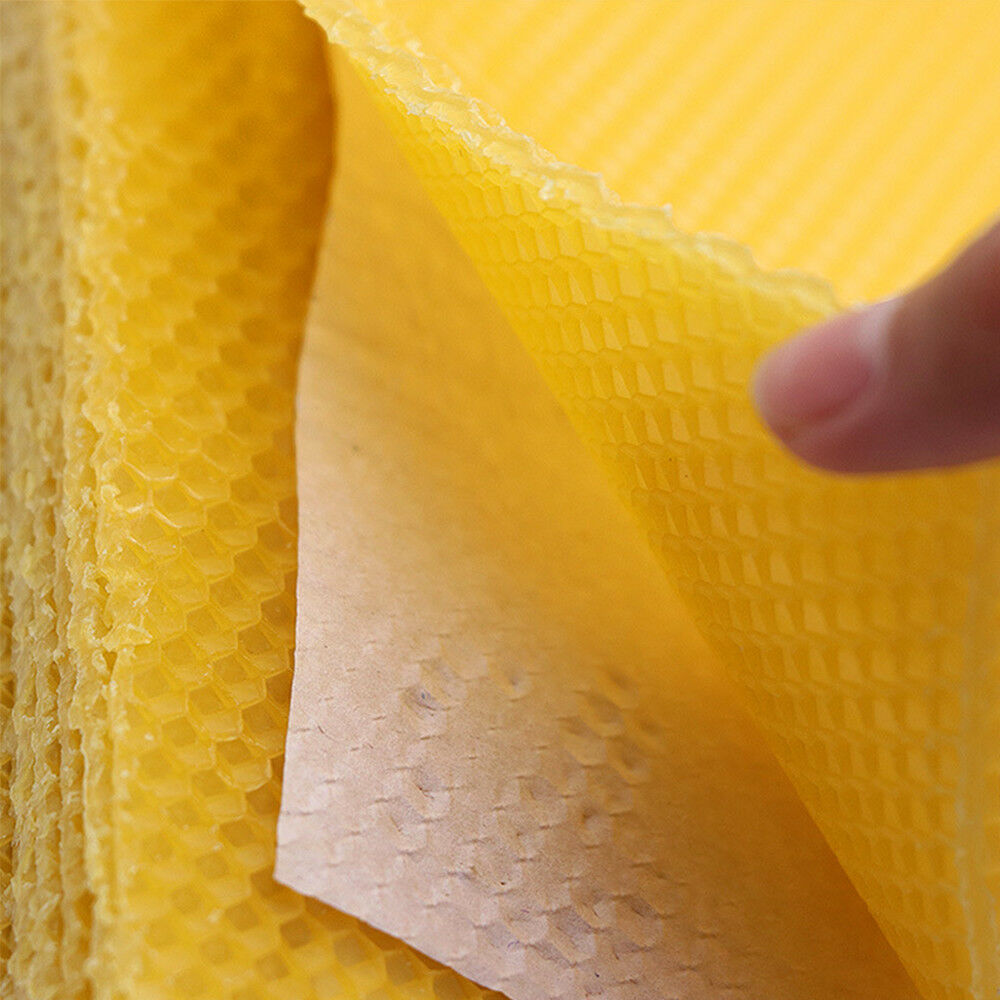 30PCS Beekeeping Nest Bee Honey Sheets Beehive Wax Foundation Beekeeping Tools