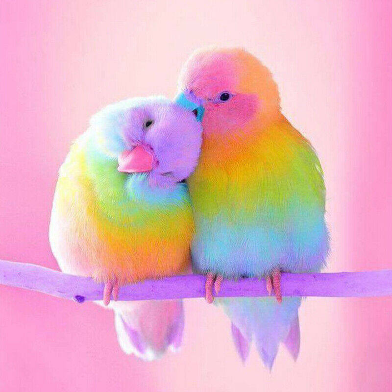Bird Full Drill 5D Diamond Embroidery Painting DIY Cross Stitch Kits Home ArtsHN