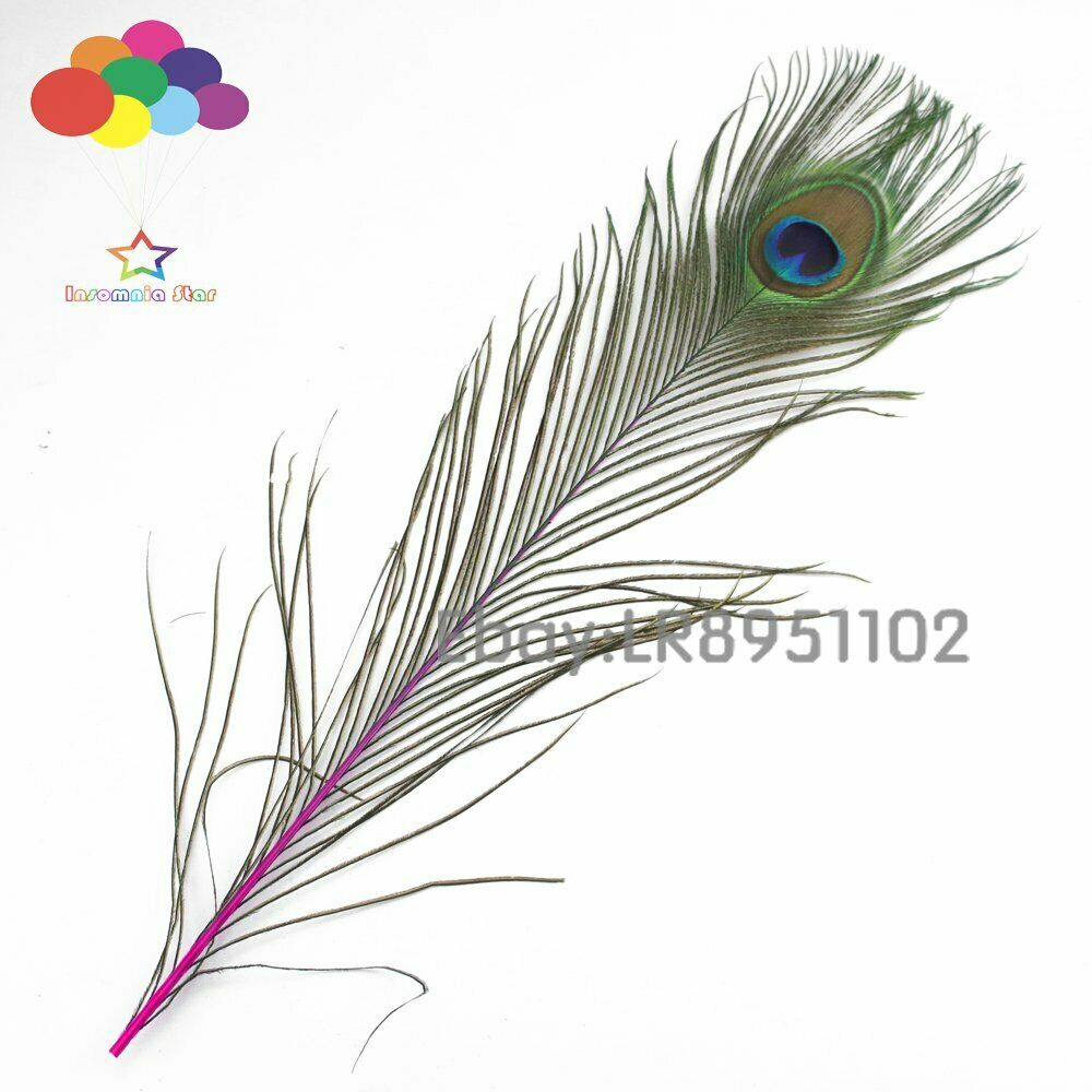100 PCS rose red peacock feather 40-45 cm wedding decoration feathers Dance