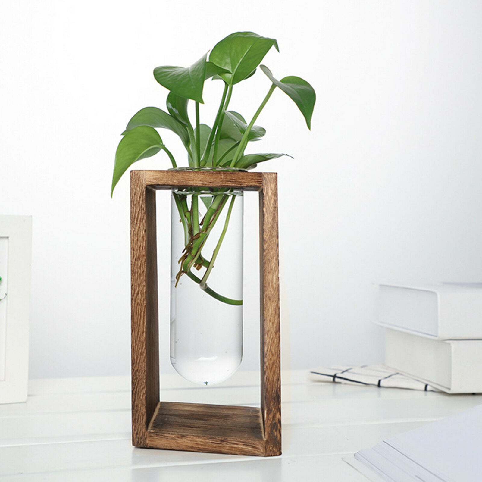 Hydroponic Plant Vase Holder Container Terrarium Flower Pot Stand Planter