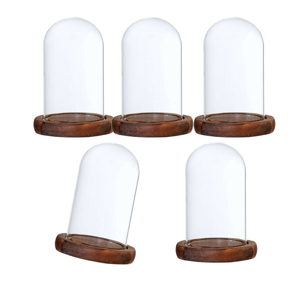 5Pcs 7x12cm Decorative Clear Glass Display Dome Cloche Bell Jar Brown