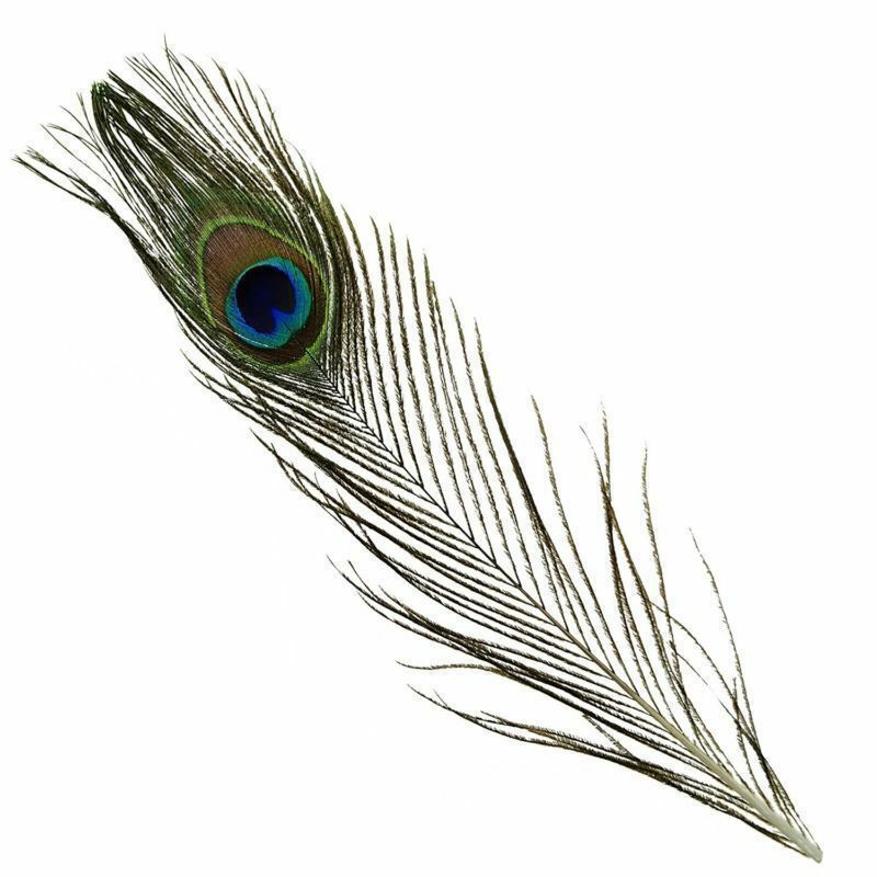 10X Real Natural Peacock Tail Eyes Feathers Wedding Festival Party Decoration