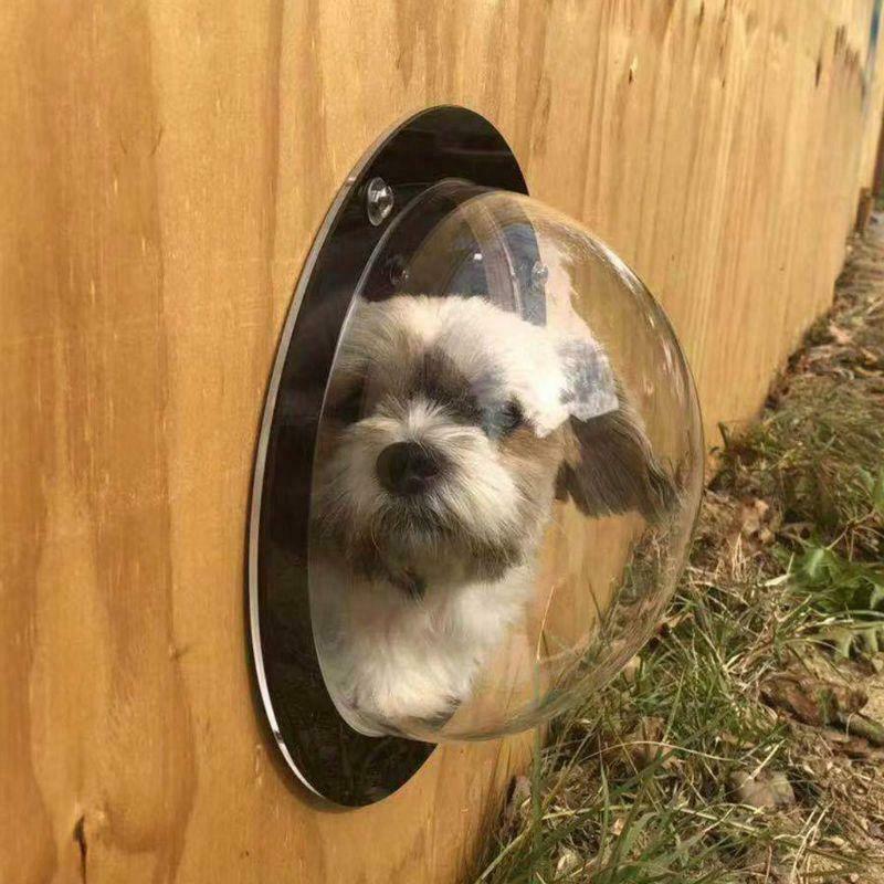 Dog Porthole Window Round Transparent for Fence Pet Peek Look Out Durable Dome