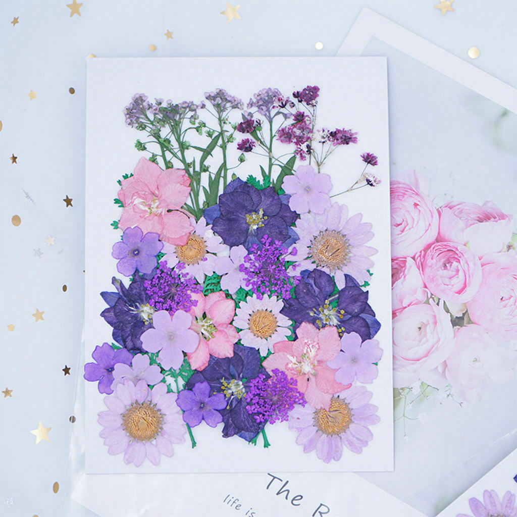34x / Bag Dried Squeezed Flowers DIY Decors Colorful for Jewelry Making