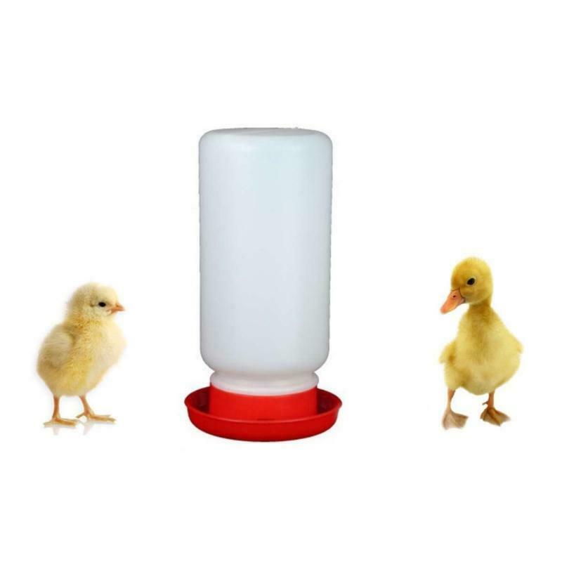 Chick Waterer and Feeder Plastic (1 Quart) Gravity Fed Water Jar White and Red