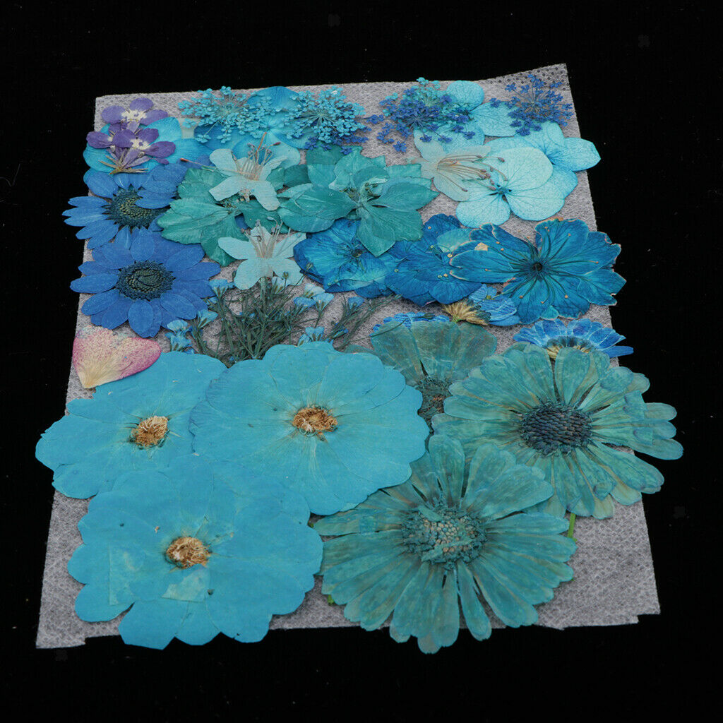 4Bag Lot Natrual Dried Flowers Pressed Leaves Embellishments for Accessories