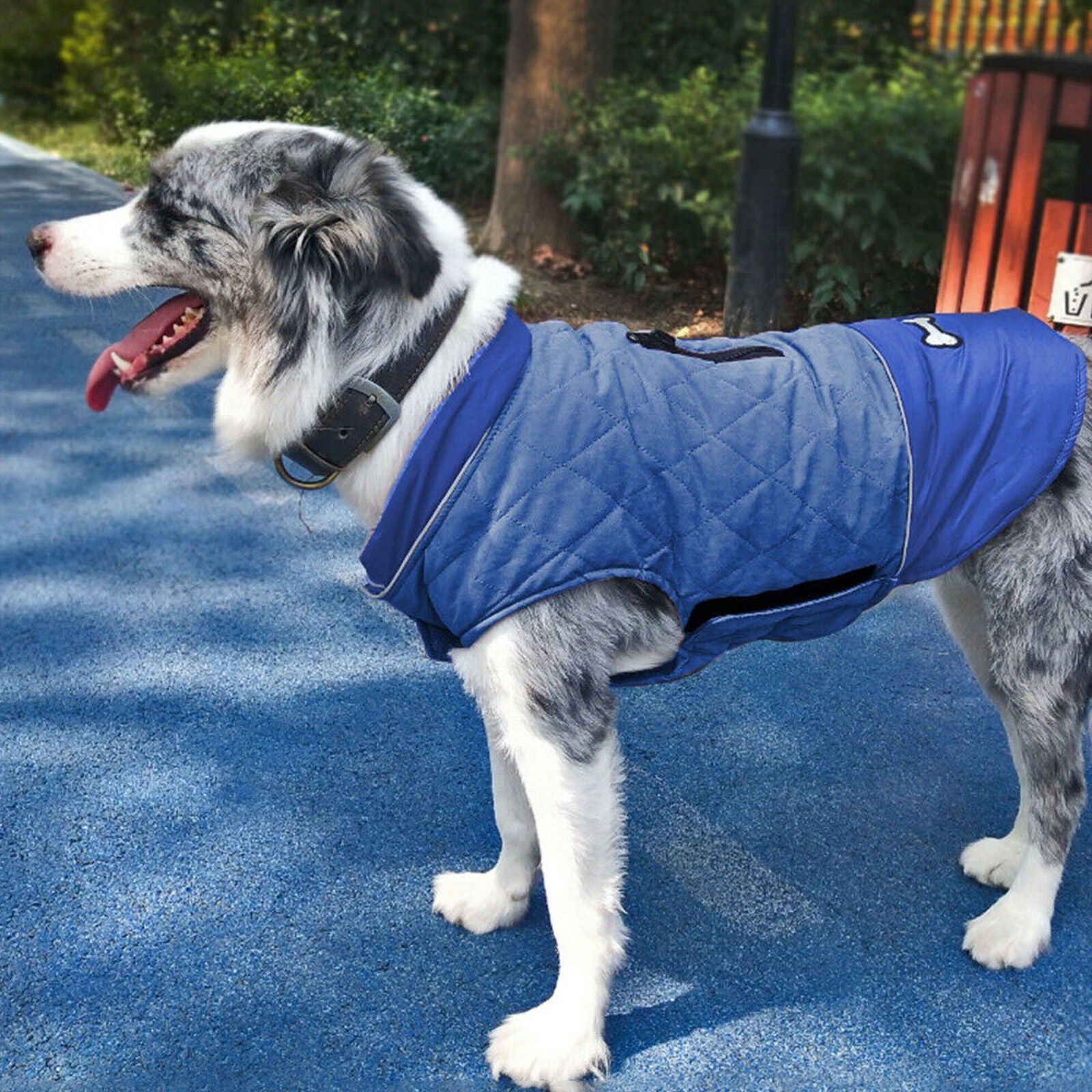 Winter Dog Coat Fleece Lined Clothes Reflective Pet Jacket Jack Russell Yorkie
