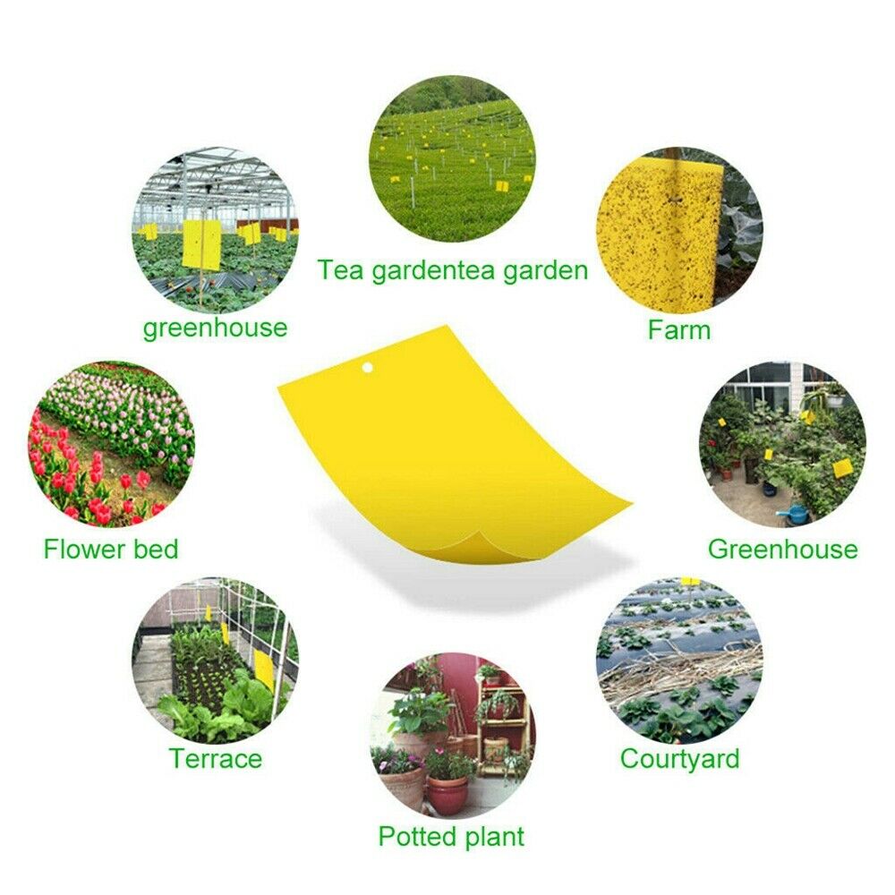 10Pcs Yellow Sticky Insect Killer Whitefly Thrip Fruit Fly Gnat Leafminer Traps
