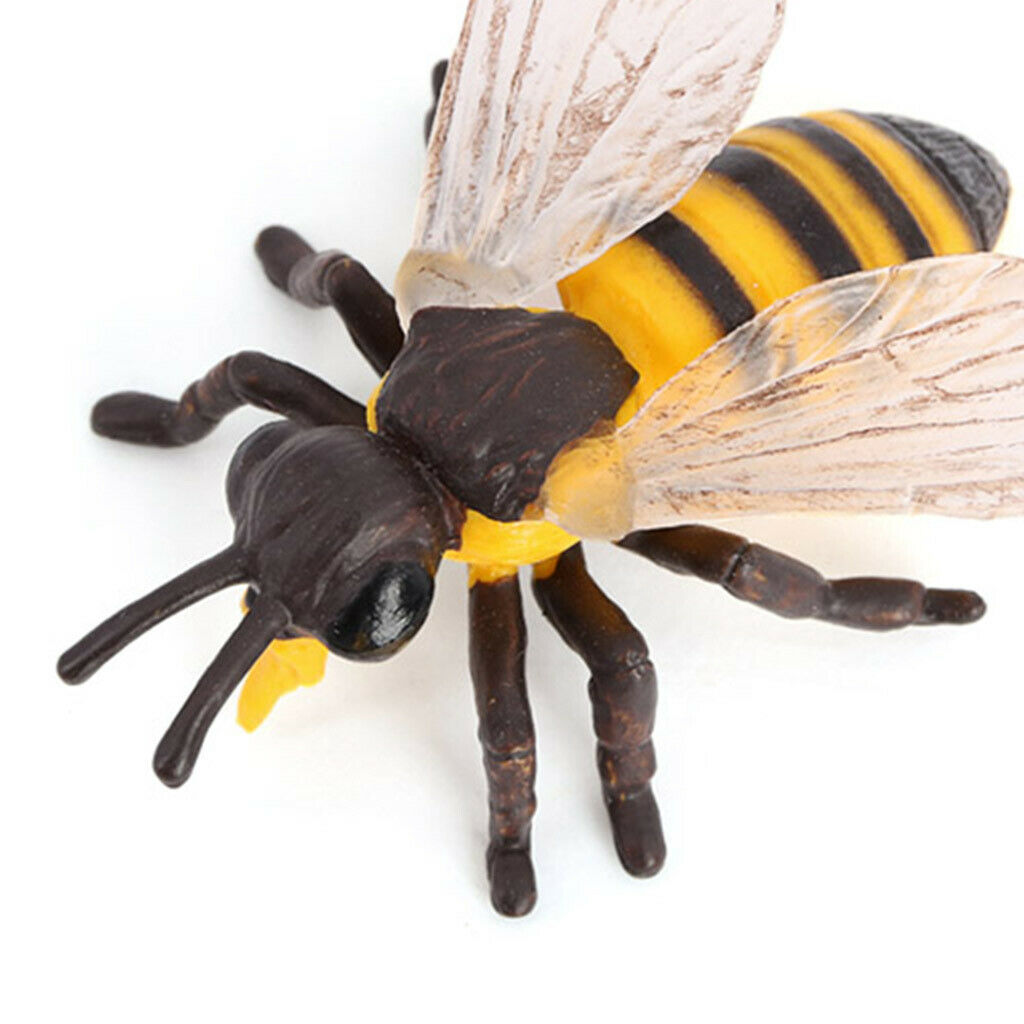 Lifelike Kids Insects Bee Growth Cycle Playset Cognitive Toys Role Play