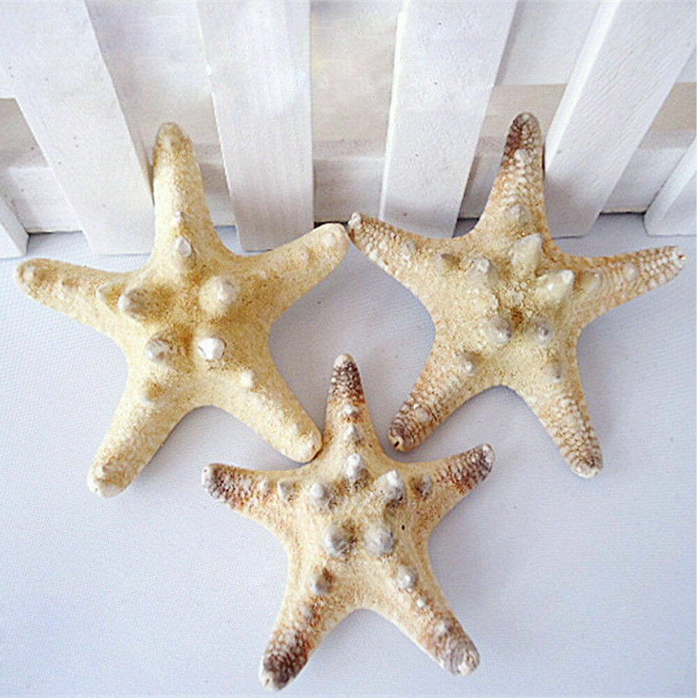 2pcs Natural Starfish Sea Star Shell DIY Aquarium Landscape Making Craft Decors