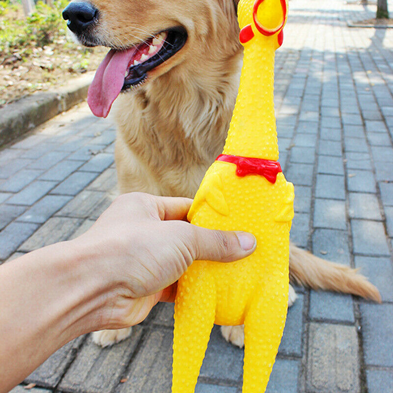 Squeaky Pet Dog Toys Sounding Screaming Chicken Style Safety Molar Chew P.l8