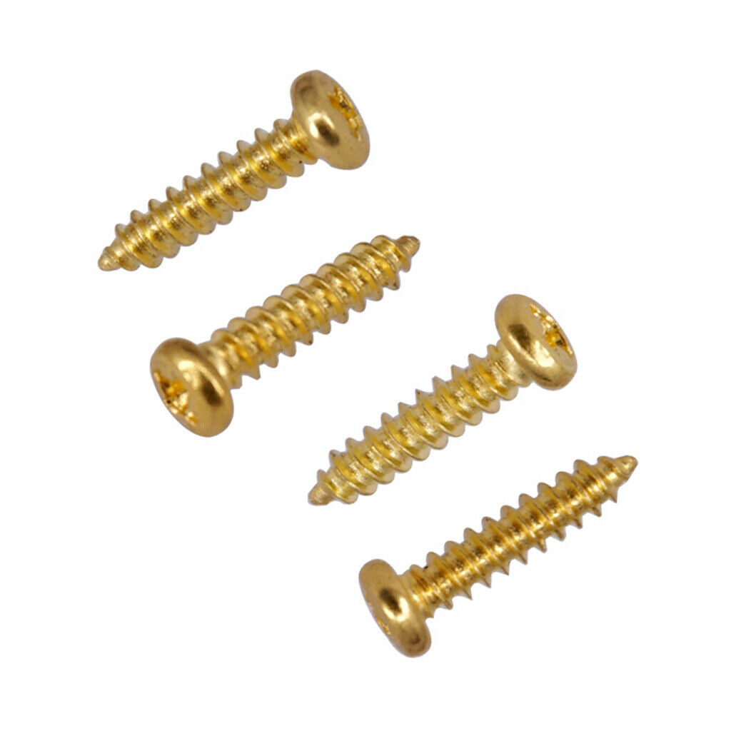 Iron 100 Pieces Tuning Peg Mounting Screws Pack for Electric/Acoustic Guitar