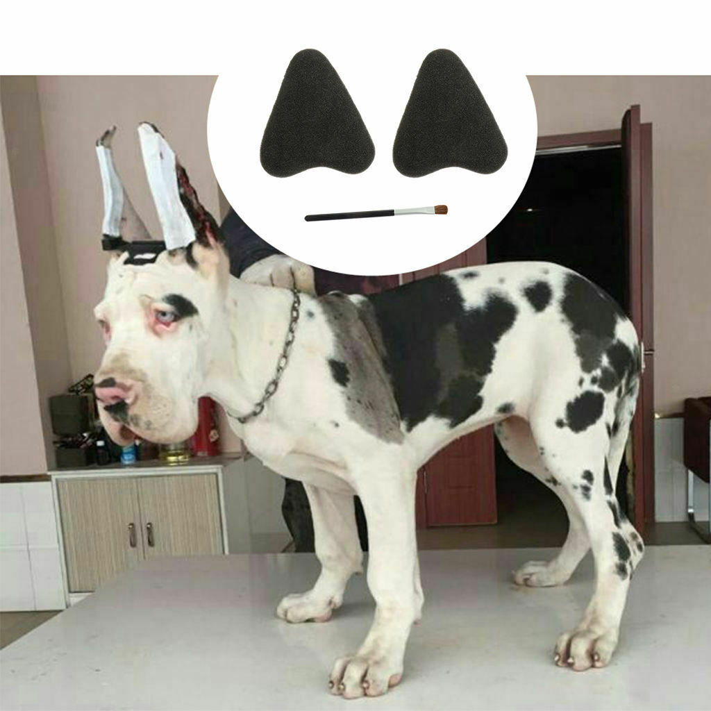 2pcs Pet Dog Ear Care Tool Ear Stand Up Suitable for Medium Large Dogs