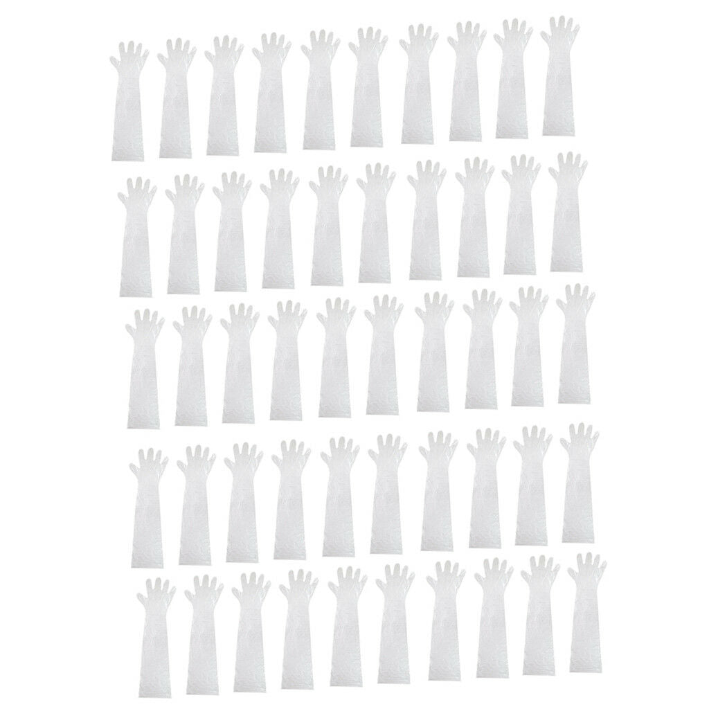 50x Shoulder Length Gloves Horse Cattle Artificial Insemination Gloves Clear