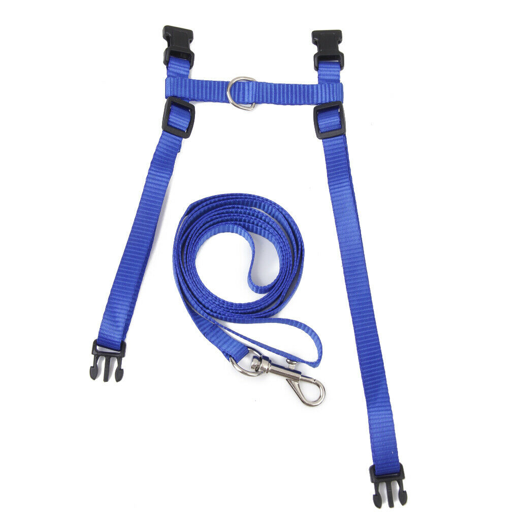 Blue Adjustable Pet Cat Kitten Belt Nylon Collar Leash Harness Safety Strap