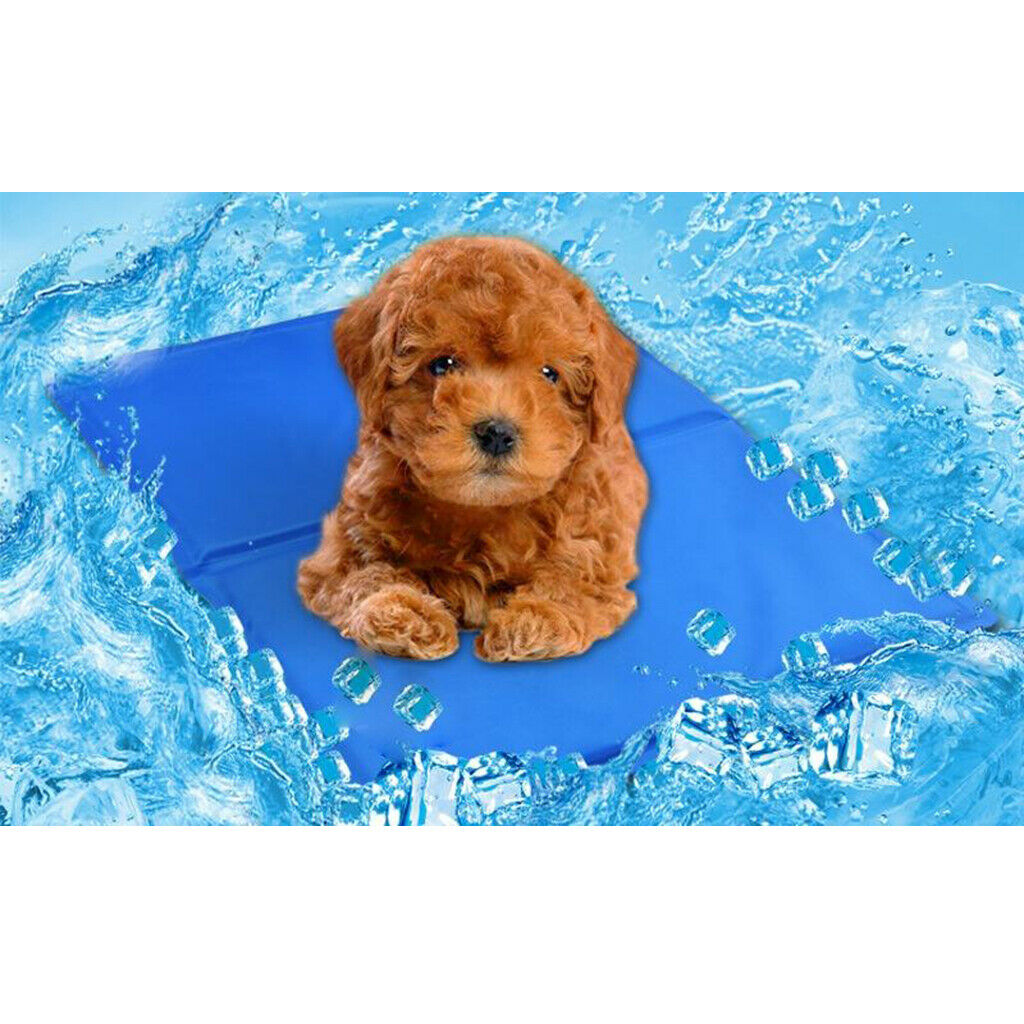 Pet Dog Cooling Mat Cool Pad Cooling Blanket Cushion for Beds Indoor 22x31cm