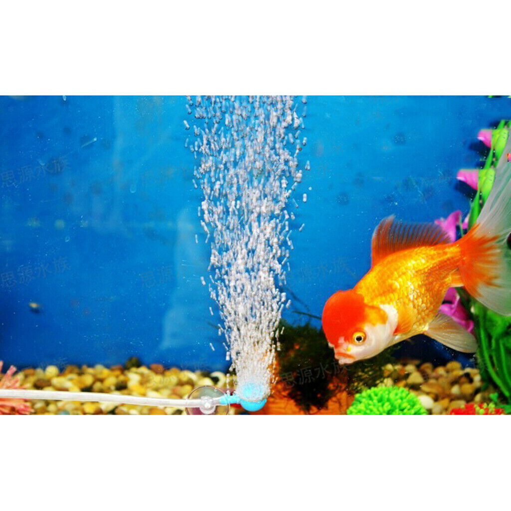 Pond Pump Diffuser Oxygen Aquarium   Tank Bubble Air Stone Aerator