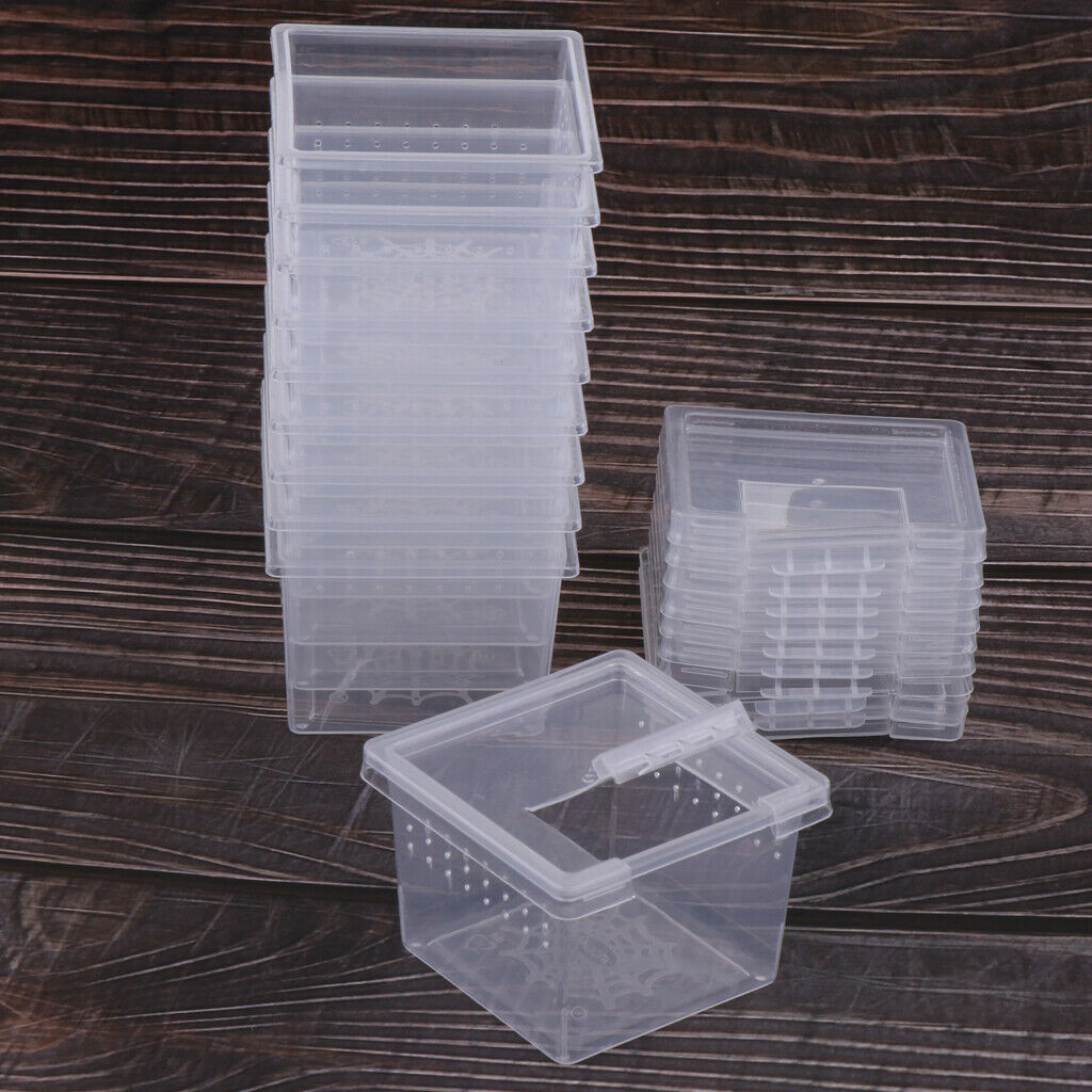 40Pcs Clear Reptile Spider Scorpion Breeding Box Hatching Container Cage