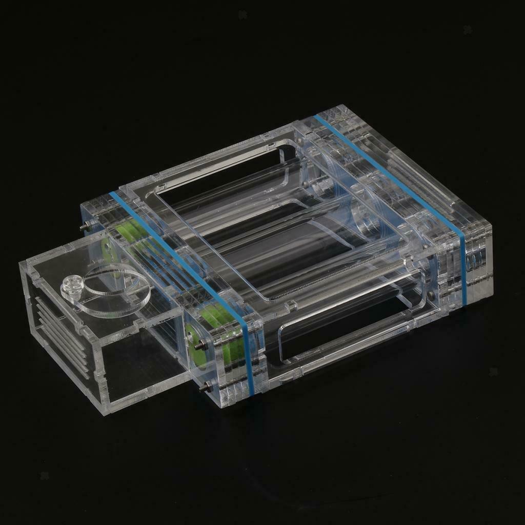 1pc Ant Nest Housing Ant Farm Box Formicarium Display Case Small Large Ant