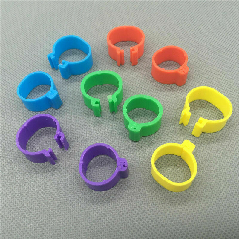 100 x COLOURED 8MM PLASTIC PIGEON LEG CLIP CLICK RINGS BANDS BREEDER STOCK LOFT