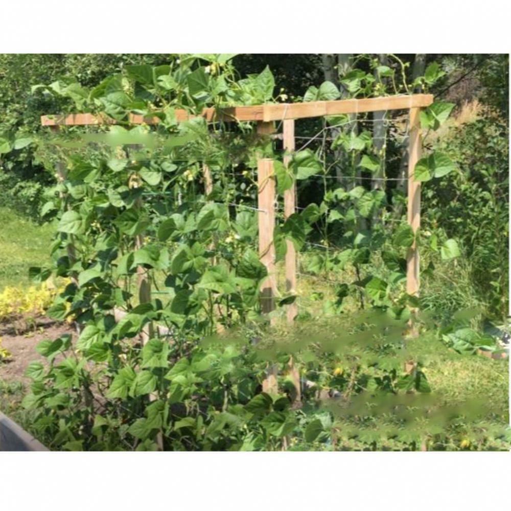 Nylon Whiite Garden Trellis Netting for Tomatoes/Beans/Vines Plant 3.3 x 10m