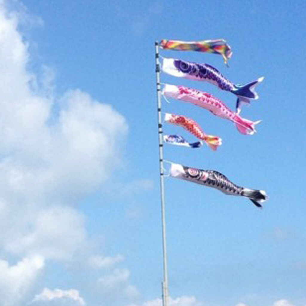 70cm Rainbow Japanese Windsock Carp Flag Koi Nobori Wind Streamer Kite Decor