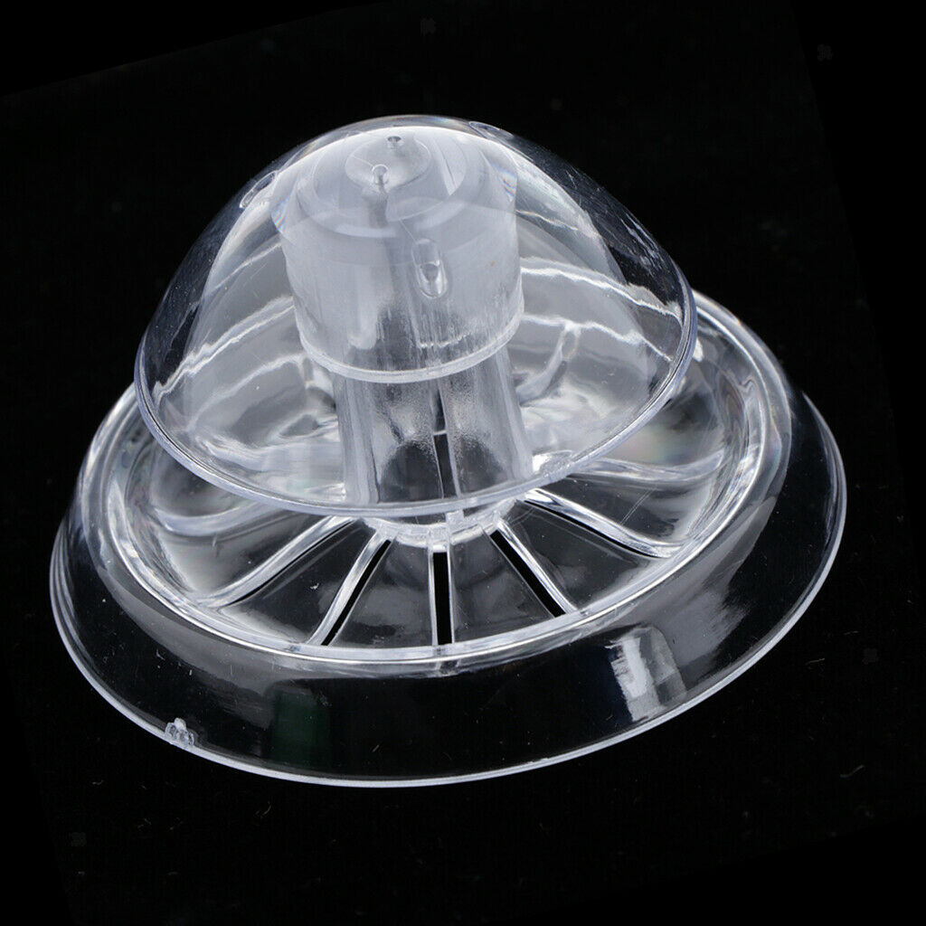 Acrylic Snail Trap Worm Pest Catcher Practical for Aquarium Shrimp Tanks