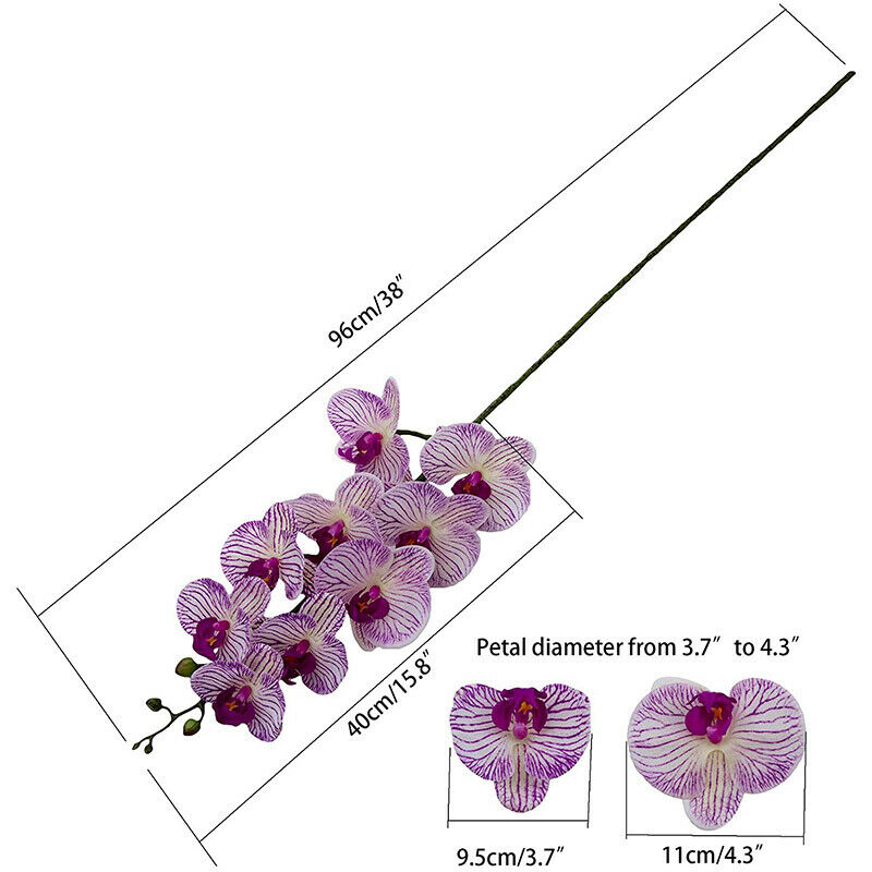2Pcs Real Press Orchid Stems Flowers Artificial Phalaenopsis Branches 9 LargW3N3