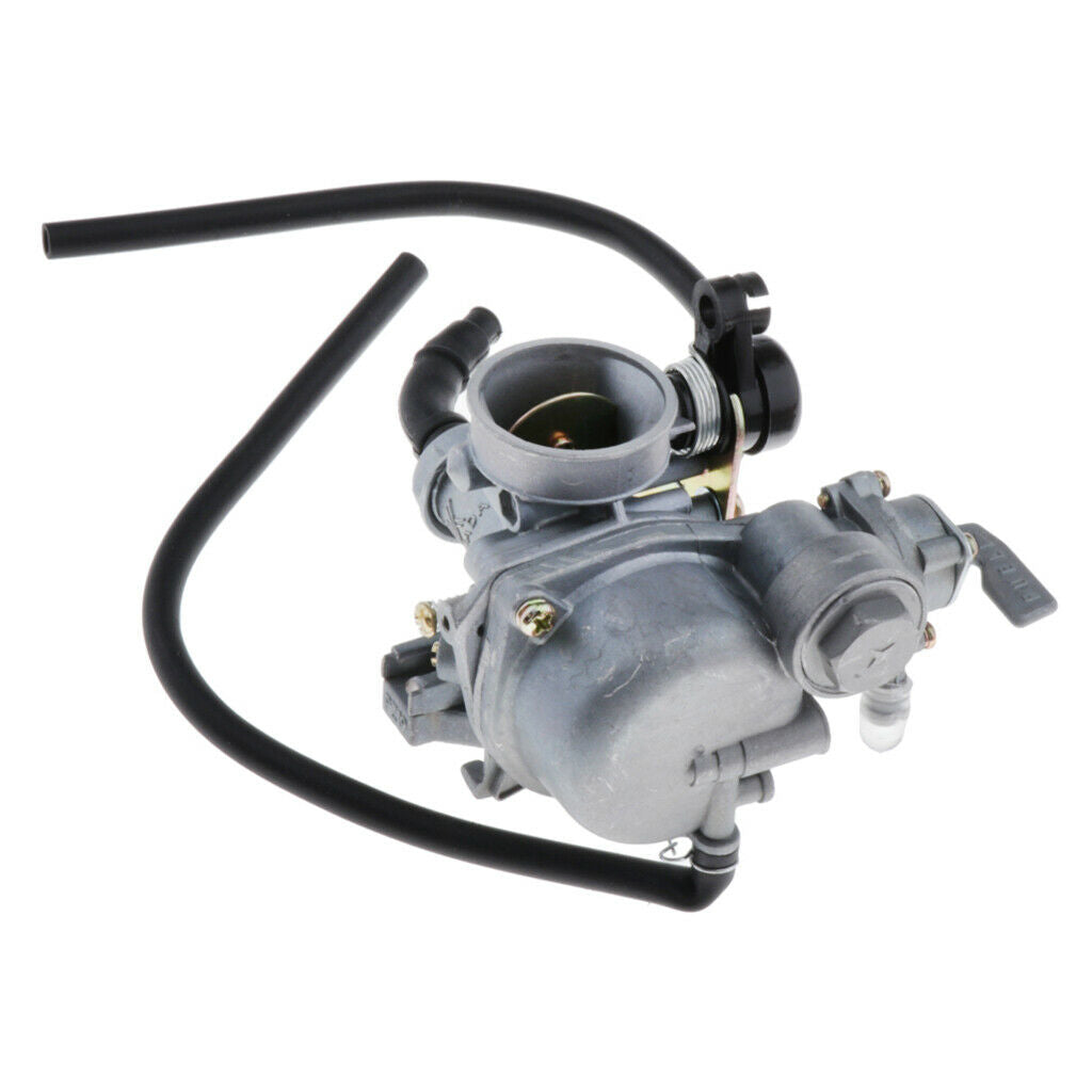 PZ19 19mm Intake Diameter Carburettor Carb For  DY100 CD110 ATV Scooter