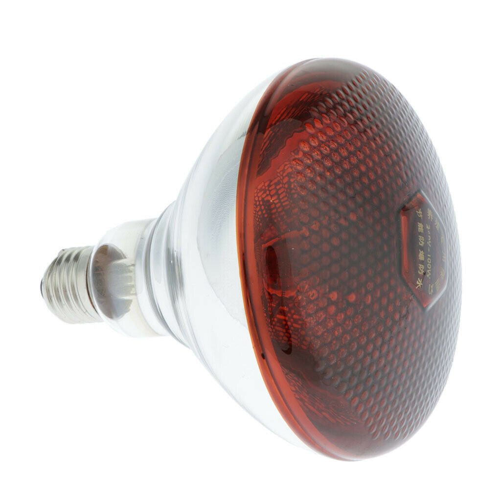 2x Bulb Elephant Reptile Turtle Habitat Heat Bulbs Lamp 220V