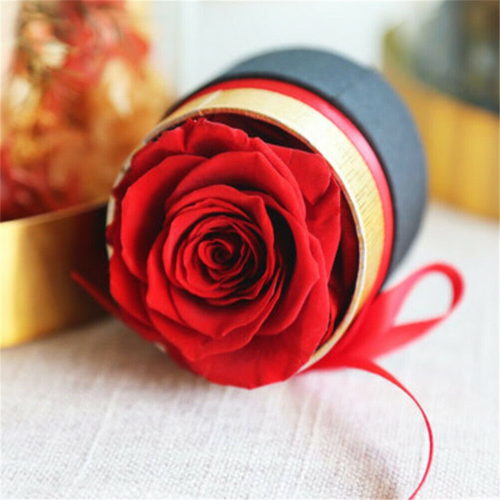 Eternal Rose Box Preserved Real Rose Flowers With Box Set Best  Gift ValentiBDA
