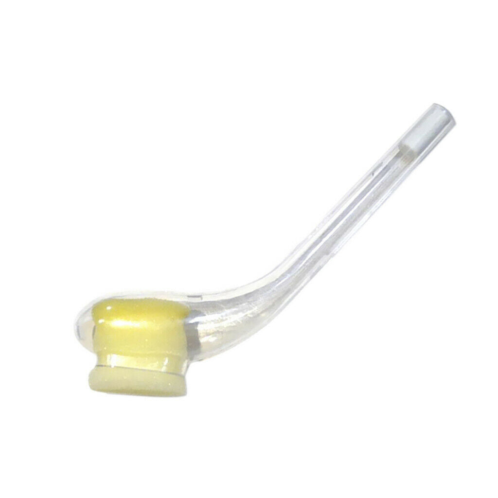 Queen Bee Trapping Tool Creative Creative Pipe Design for Lure Trapping Bee